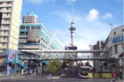 Auckland Skytower from Princess Warf