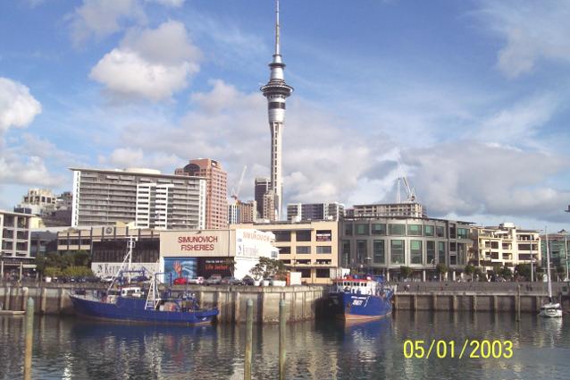 Auckland Skytower from Viaduct Harbour