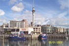 Auckland Skytower from Viaduct Harbour