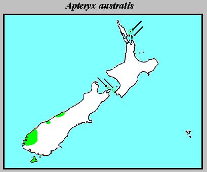 The distribution of Apteryx australis