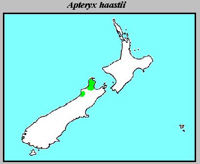The distribution of Apteryx haastii
