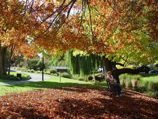 Christchurch Autumn by the Avon River