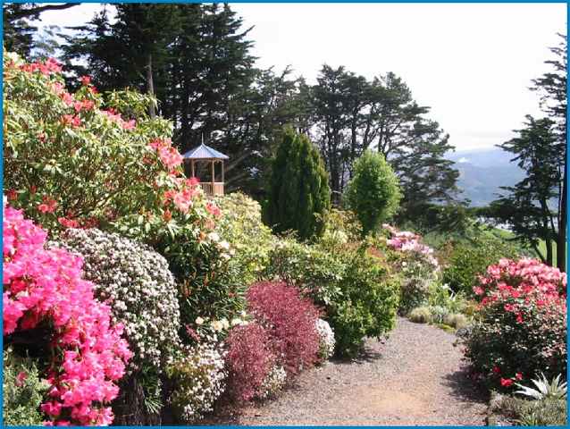 Photograph of the Larnach Castle grounds in summer