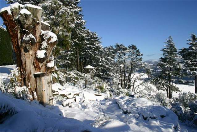 Photograph of Larnach Castle grounds in winter.