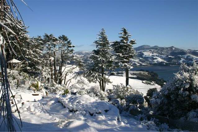 Photograph of Larnach Castle grounds in winter.
