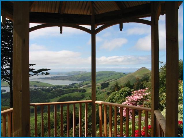 Larnach's Castle grounds in summer with the flowers in full bloom