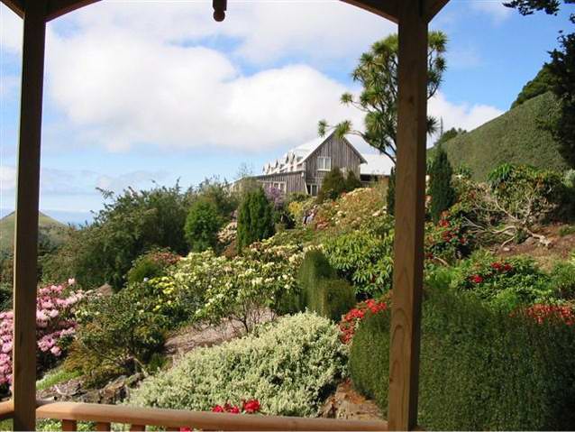 Photograph of the Larnach Castle grounds in summer.