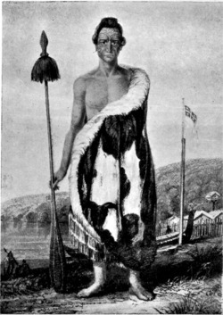 Te Puni Māori Chief