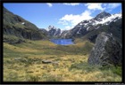 Routeburn Track - South Island of New Zealand