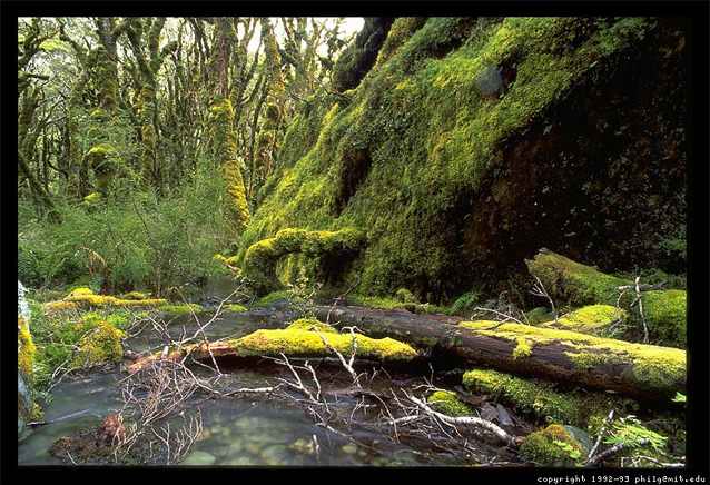 Routeburn Track - South Island of New Zealand