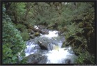 Routeburn Track - South Island of New Zealand