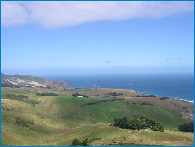 Otago Peninsula New Zealand