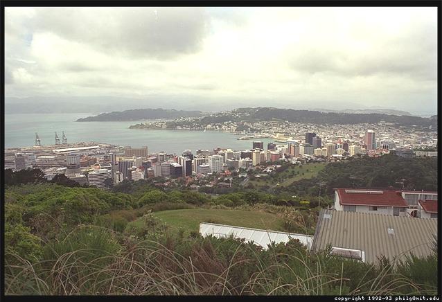 A view of Wellington, New Zealand