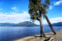 Lake Brunner, Grey District, South Island, New Zealand, NZ